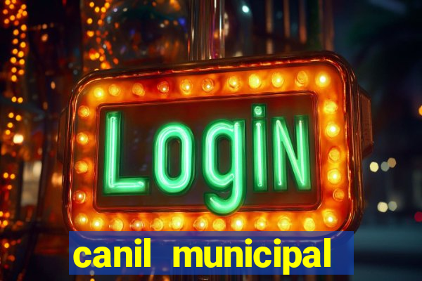 canil municipal porto alegre